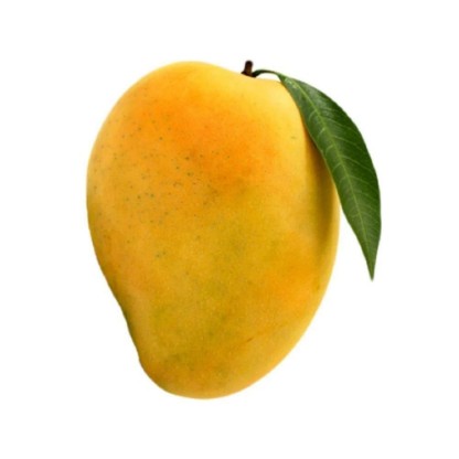 Picture of Fresh Alphonso Mango