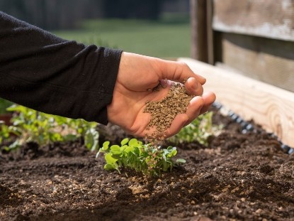 Picture of Liquid Seaweed Fertilizer – Natural Growth Promoter